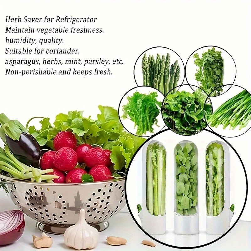 1pc Transparent Herb & Vegetable Preservation Box with White Lid - Durable Plastic, Manual Freshness Keeper for Various Herbs and Vegetables - Essential Kitchen Gadget