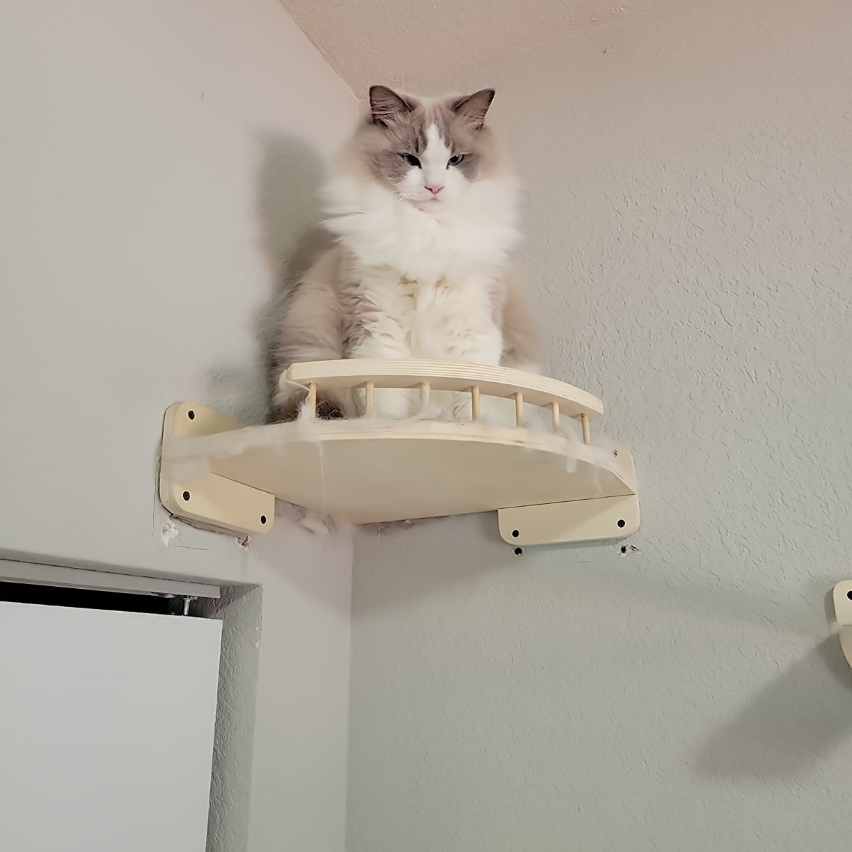 Cat perch made of premium solid wood, wall-mounted for cozy climbing and lounging.