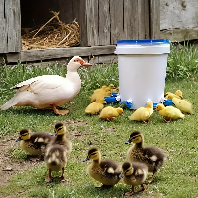 6 large blue automatic chicken water cups for ducks, geese, turkeys, and rabbits.