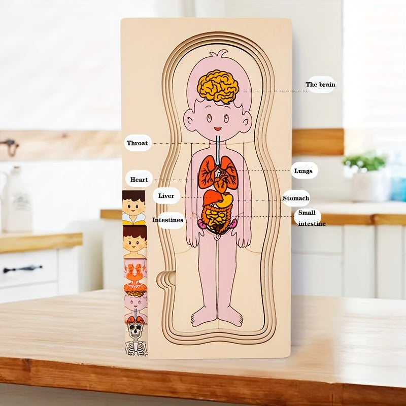 Wooden puzzle desktop toy with educational parent-child interaction features: Toys with a body structure design.