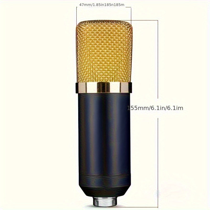 Condenser microphone for live game singing.