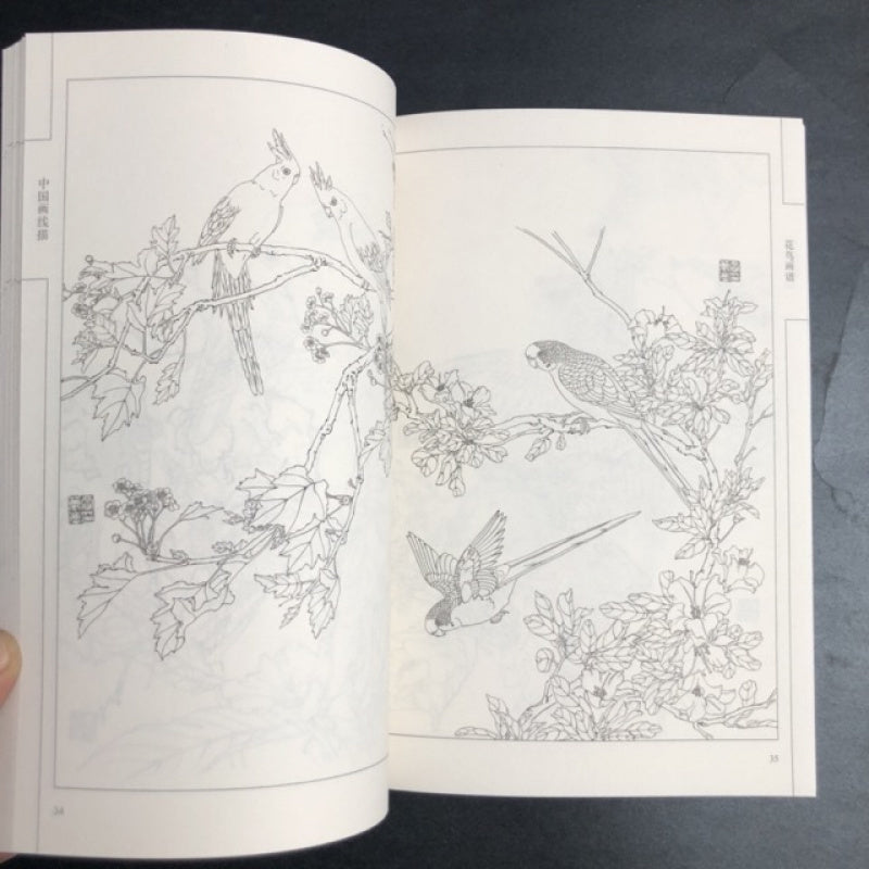 Chinese version of Flower and Bird Painting Manual with Line Drawings