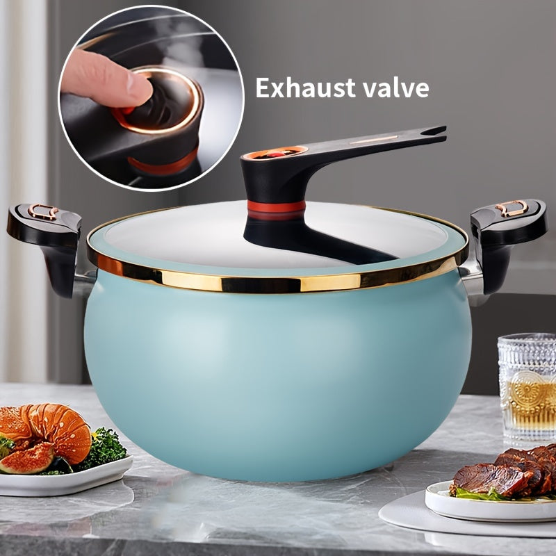 Large capacity soup pot, 26cm/10in, for cooking and stewing, can be used with gas and induction cookers.