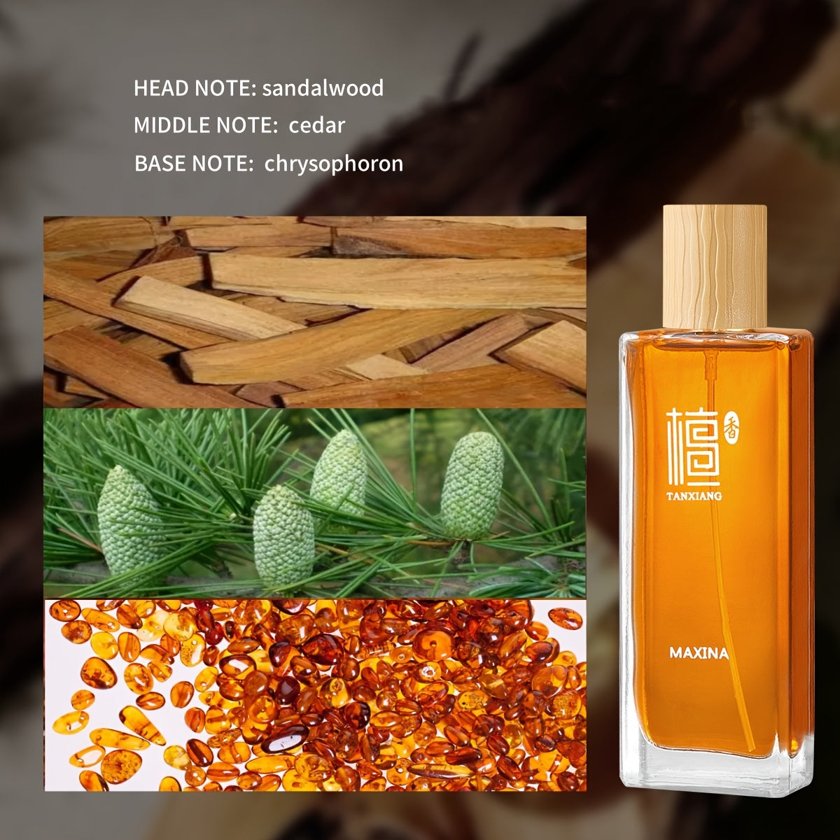 Stylish Sandalwood Perfume for Women perfect for any occasion with 3-5% essential oil concentration, ideal for gifting.