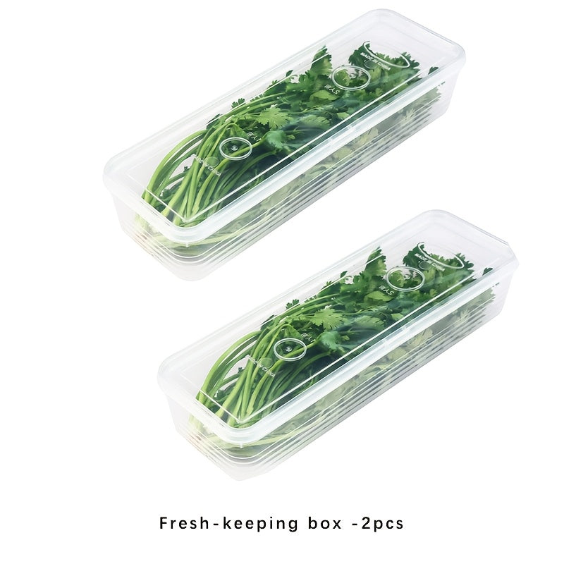 2 plastic storage containers with durable seals for keeping vegetables fresh in the refrigerator, including cilantro, green onions, and mint.