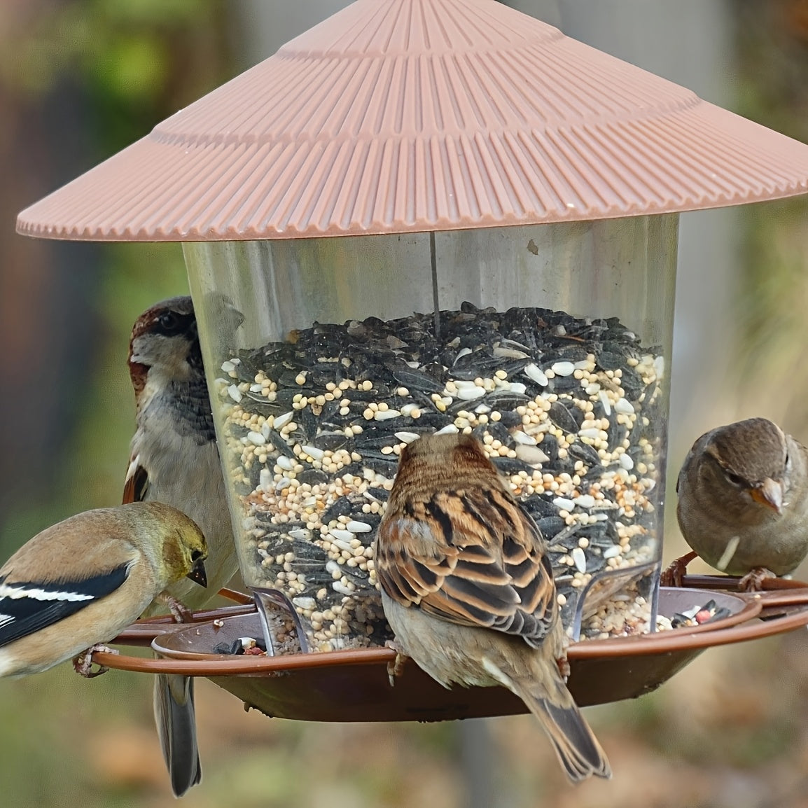 Outdoor hanging bird feeder with automatic features for hummingbirds and wild birds in your garden yard.