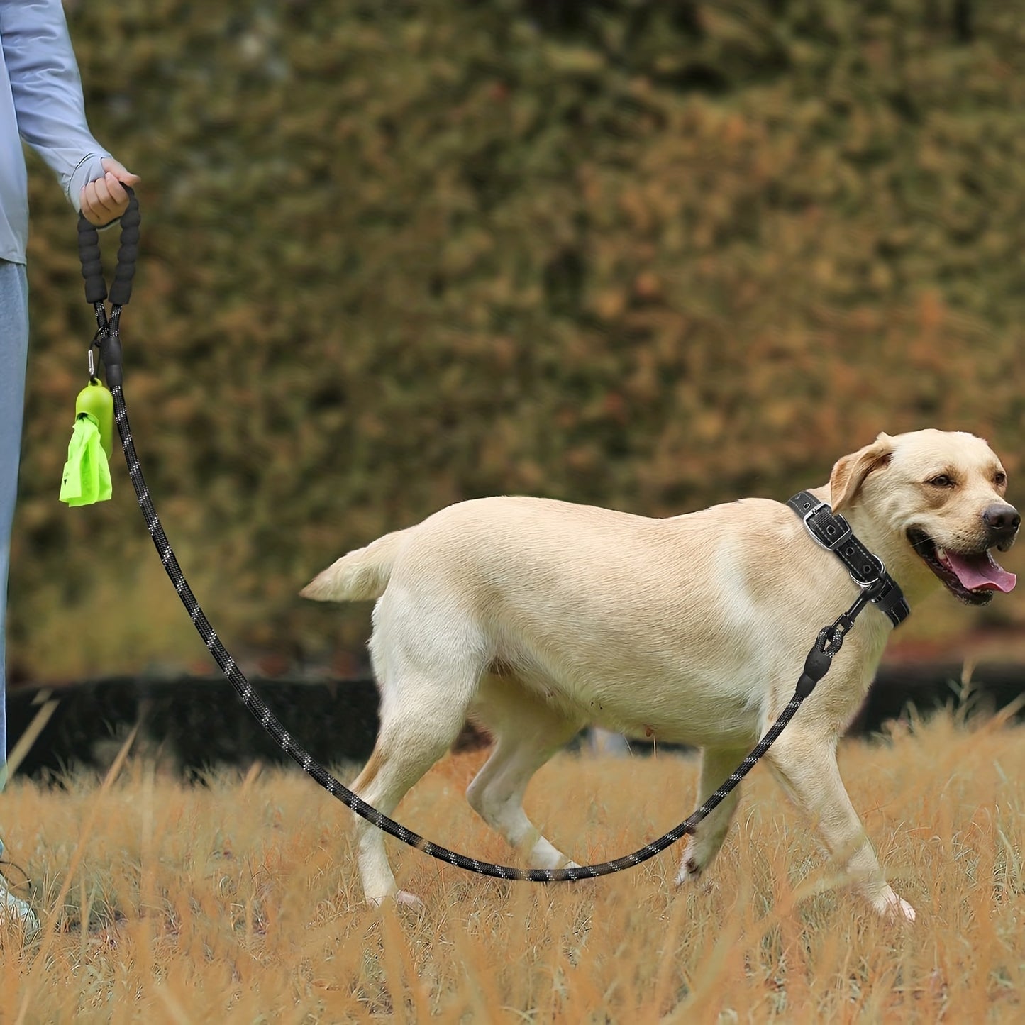 Reflective leash and adjustable nylon collar set for dogs of all sizes from JOYTALE.