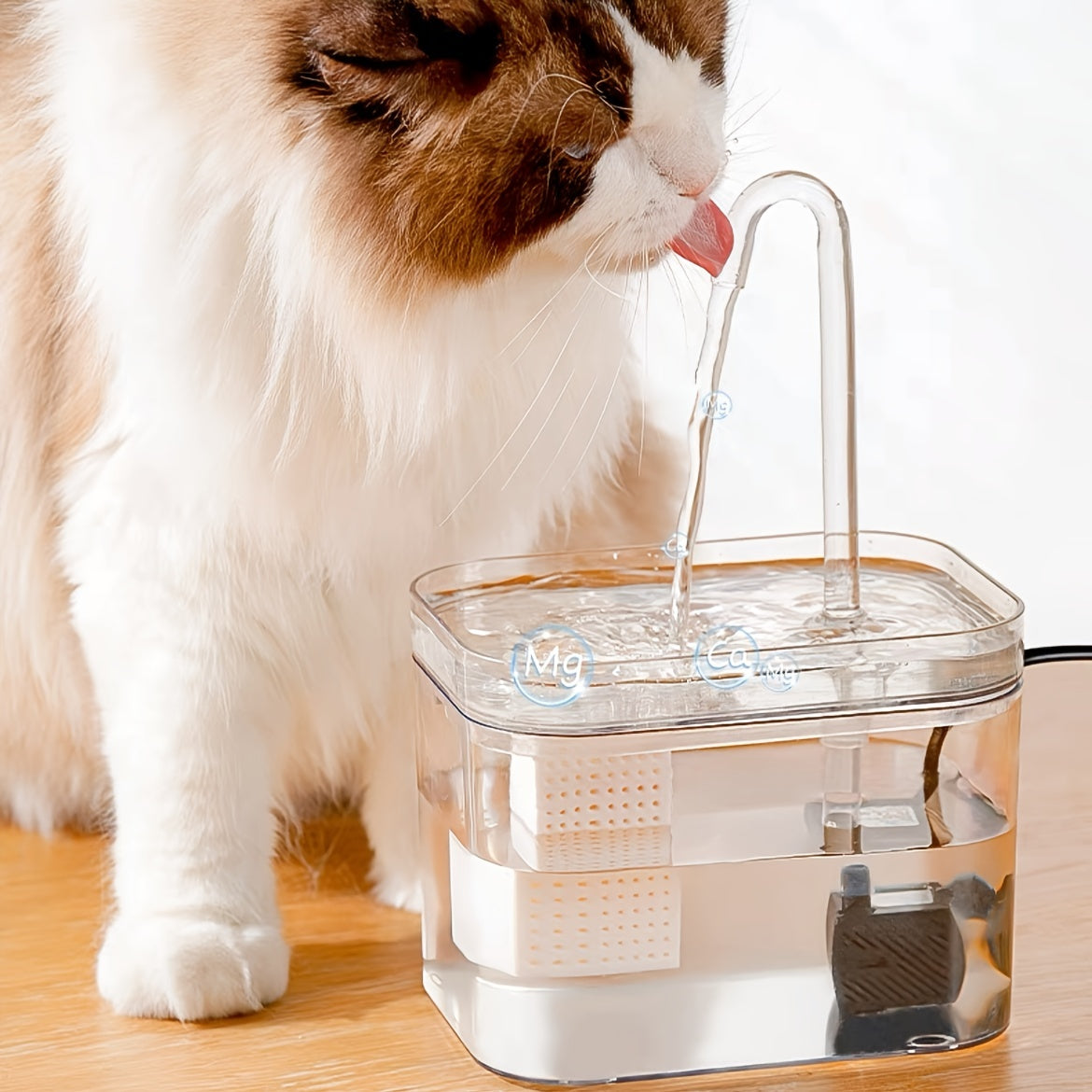 Transparent USB-powered automatic pet water fountain for indoor dog and cat hydration.