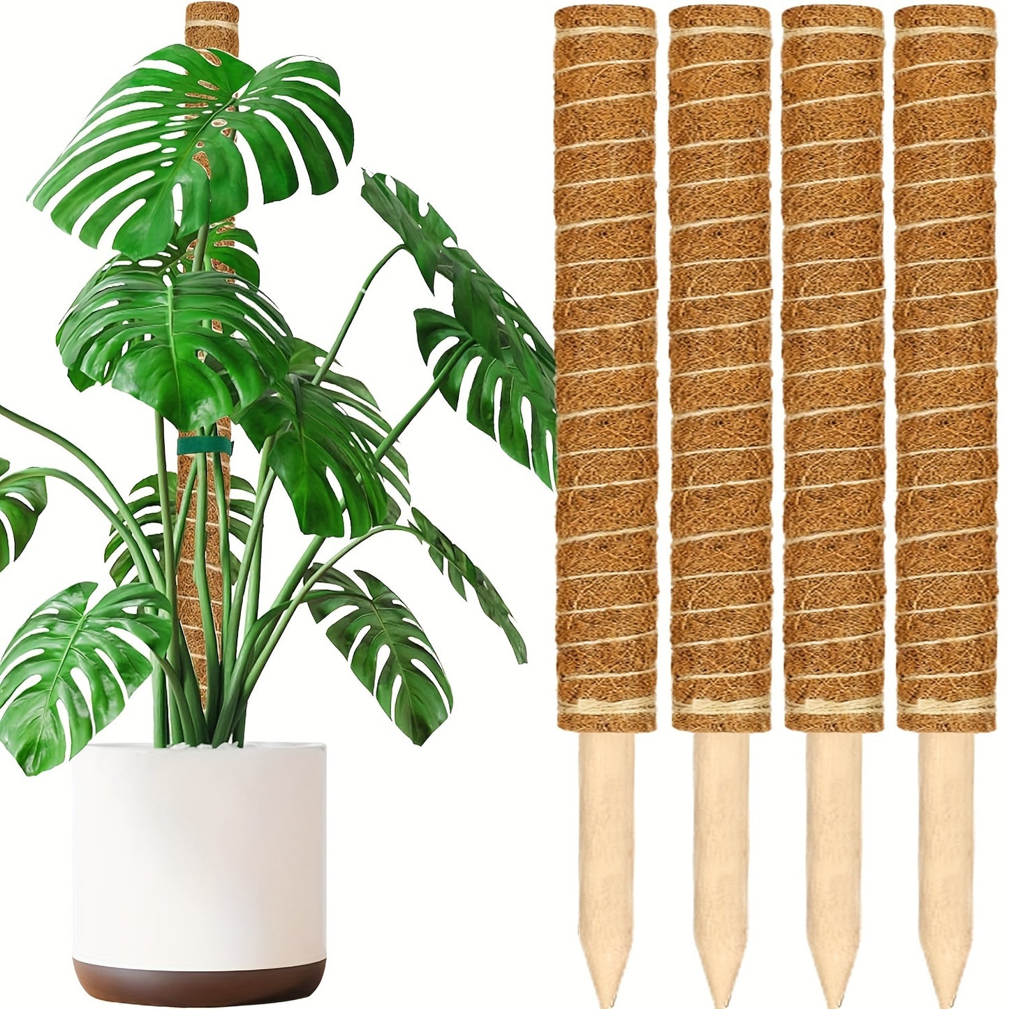 Set of 2 Moss Poles for Monstera and Climbing Plants - Coir Totem Support, Light Brown, Indoor Potted Plants