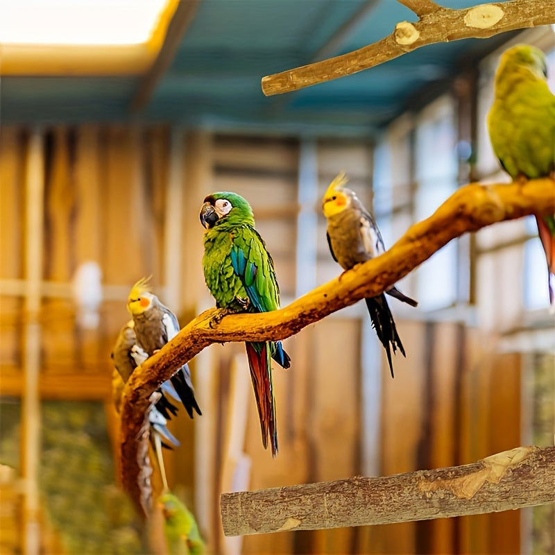 Set of 8 natural wood bird perch toys for various bird species.