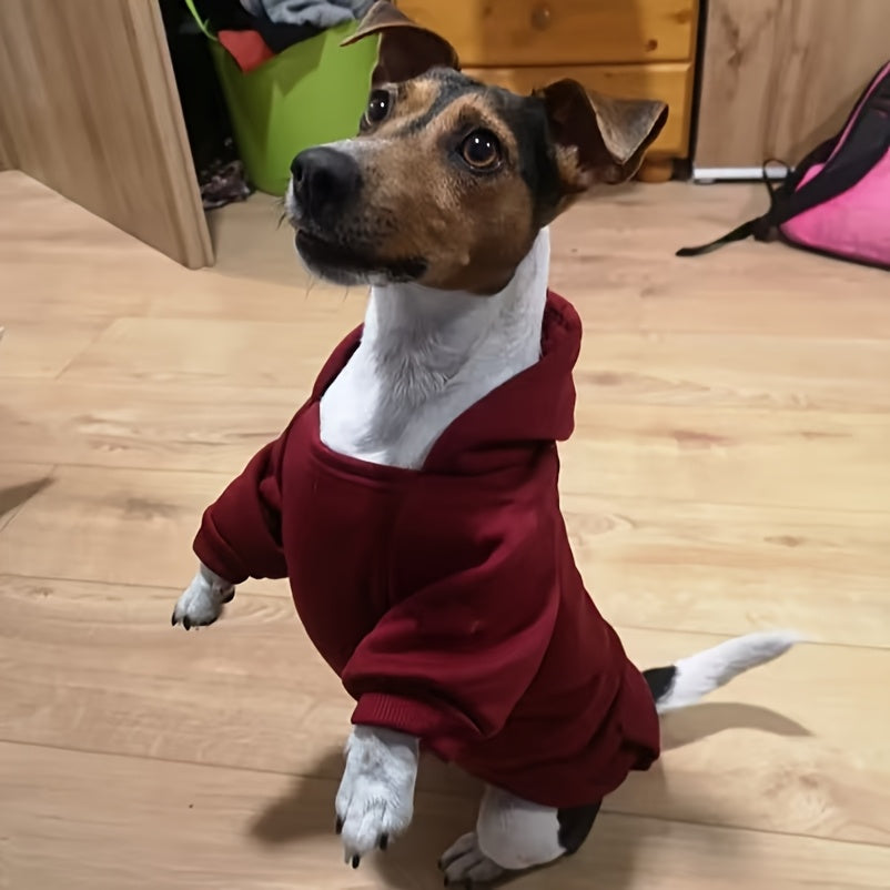 Stylish hooded sweatshirts for small to medium pets in various colors, made of durable all-season polyester. Perfect for winter wear.