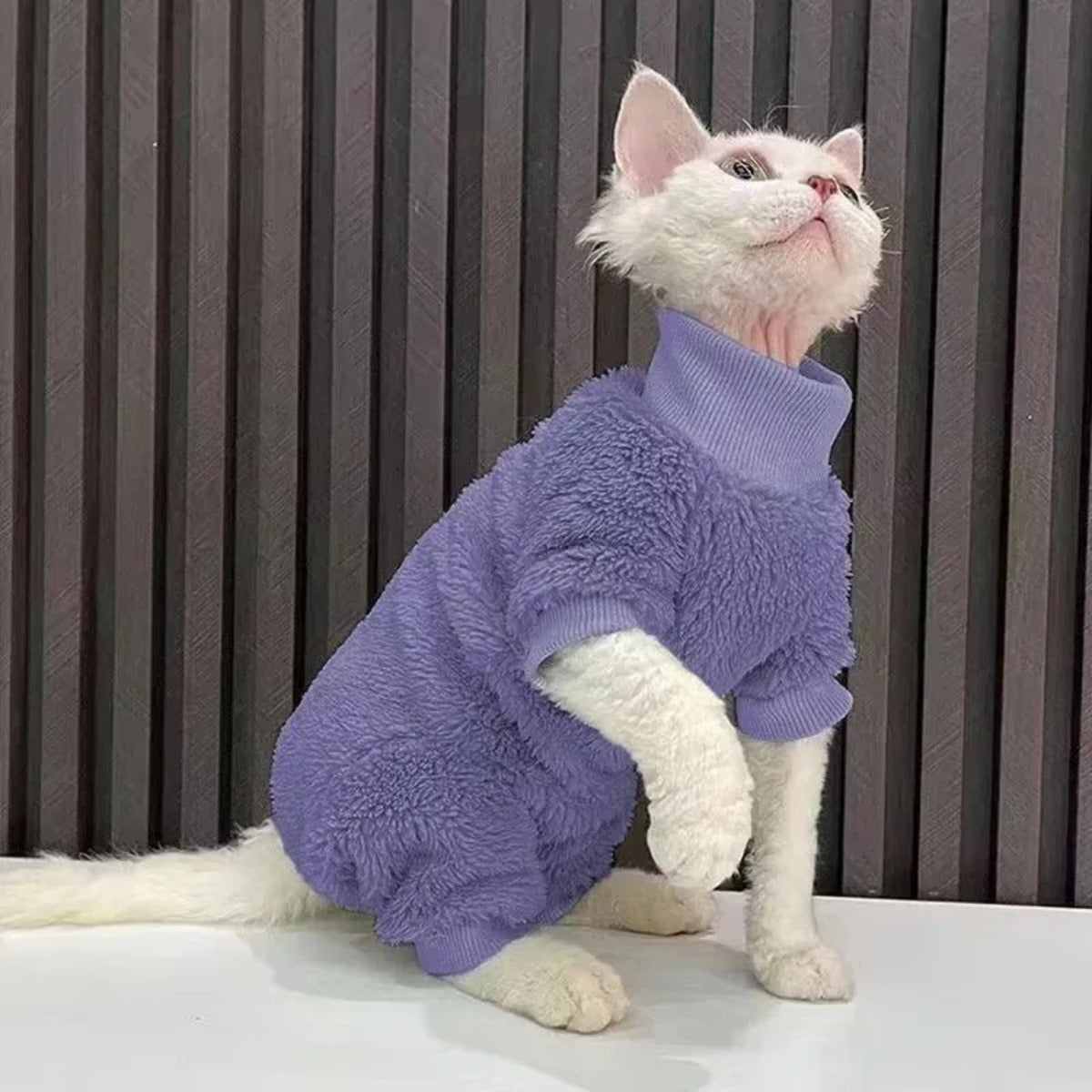 Stretch velvet sweater designed for Devon Sphynx cats without fur.