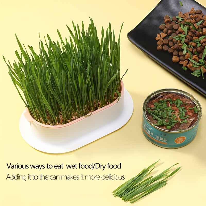 1pc Hydroponic Grass Growing Pot for improved digestion and health, includes greenhouse grow box (seeds not included)