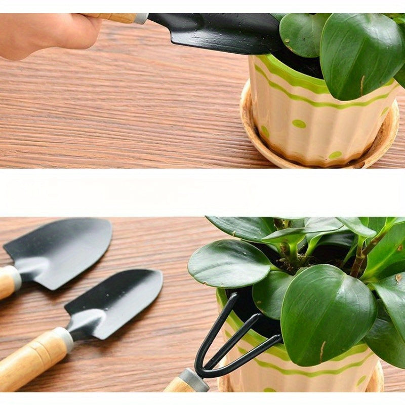 Succulent Plant Gardening Tool Set includes 3 durable metal and wooden hand tools: Mini shovel, shovel, and rake, ideal for potting and planting anywhere.