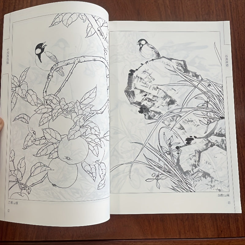 Chinese book featuring line drawing and white painting of birds, with a focus on Chinese style.