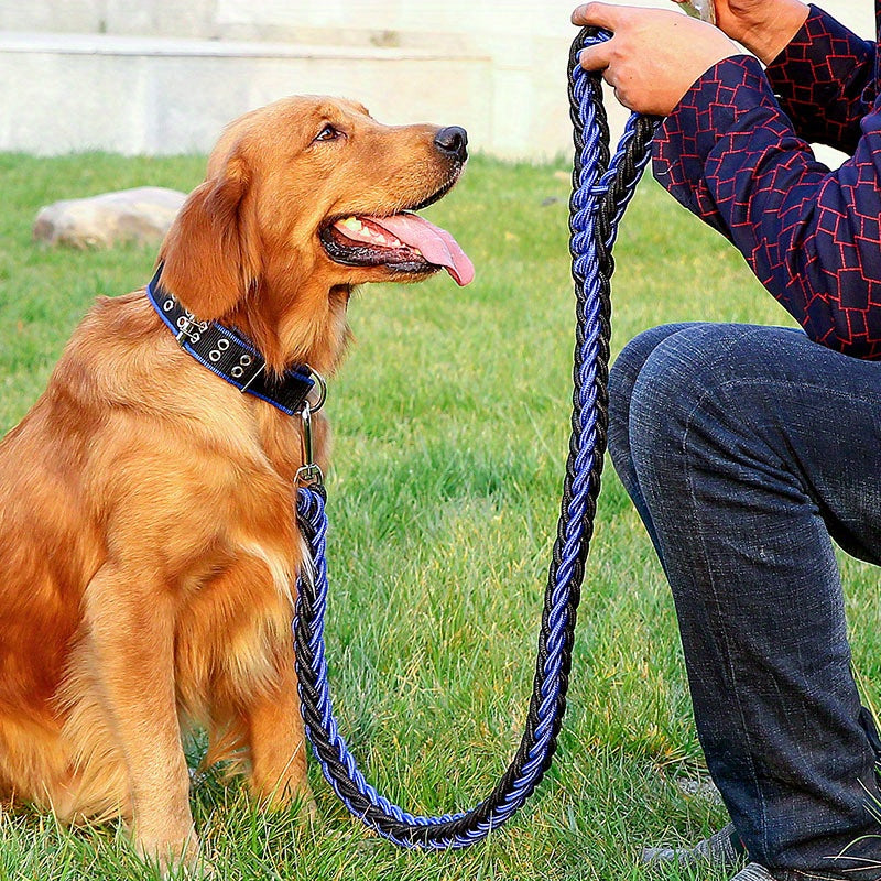 Heavy duty dog collar and leash set with braided training leash.