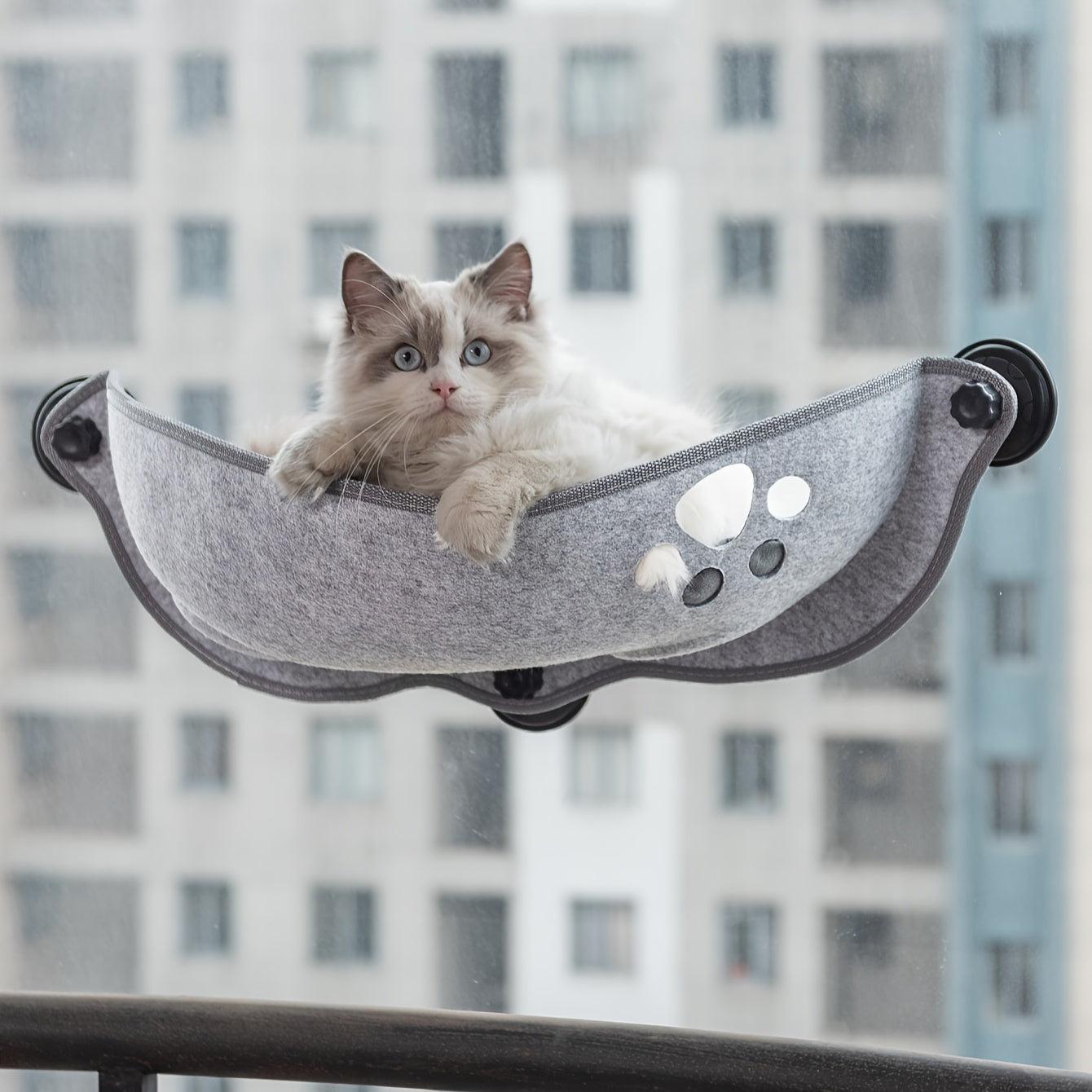 Crescent-shaped suction cup cat hammock for small and medium cats to sleep in sunlight.