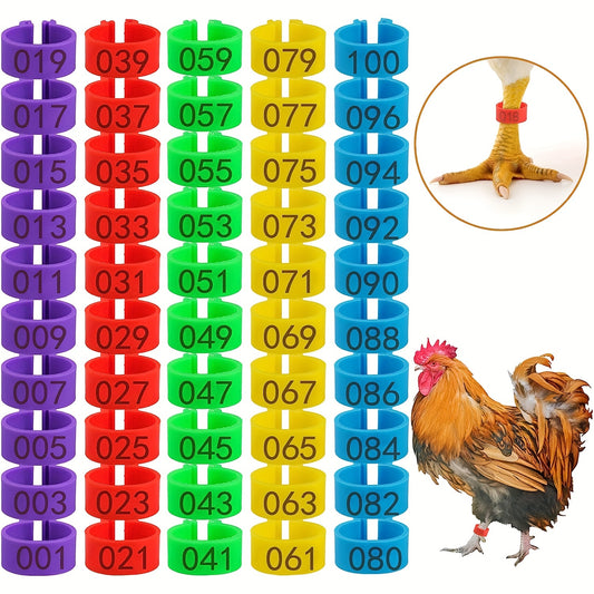 Pack of 100 colorful numbered chicken leg bands for various poultry species - 16mm clip-on ankle rings made of plastic for identification and selection purposes.