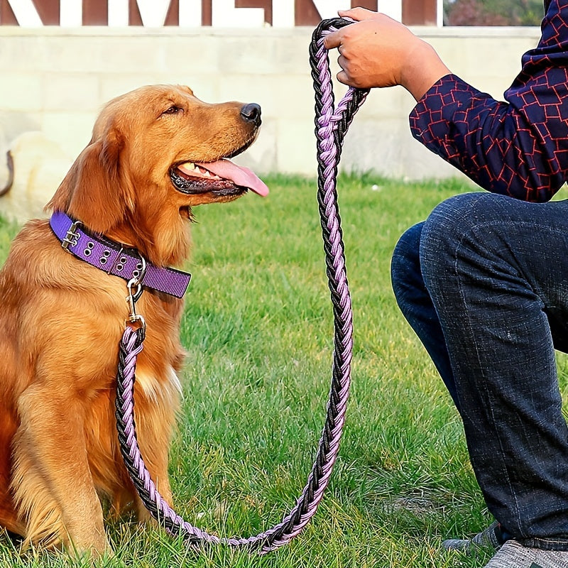 Heavy duty dog collar and leash set with braided training leash.