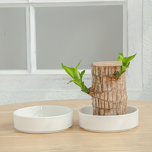 The Brazilian wood tray includes a mini white ceramic saucer for pots, which can be used for office desk decorations, as a base for flower pots, or as office decor. Plants are not included.