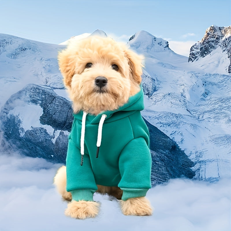 Small dog pet hooded sweatshirt made of 65% polyester and 35% knit, ideal for Schnauzer, Poodle, and Teddy breeds. Available in green, requires hand wash.