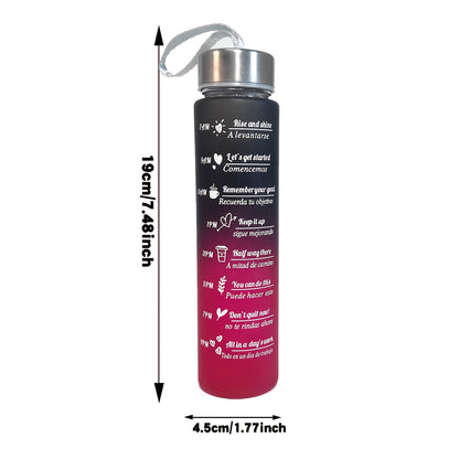 Large capacity sports water bottles with time marker in sets of 1, 2, or 3. Leakproof, BPA-free, and durable with portable handle.