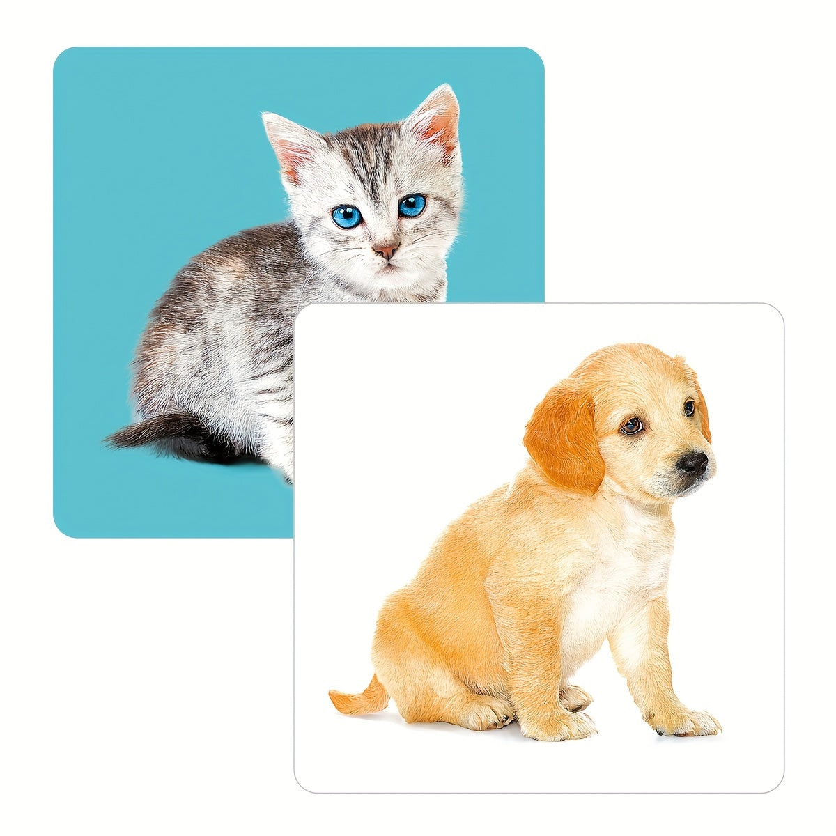 Montessori animal flashcards for toddlers promote early brain development with 24 animal pictures on 12 double-sided cards. Ideal for kids aged 2-10.