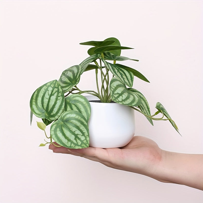 Artificial green leaf plant for home, office, or shelves décor.