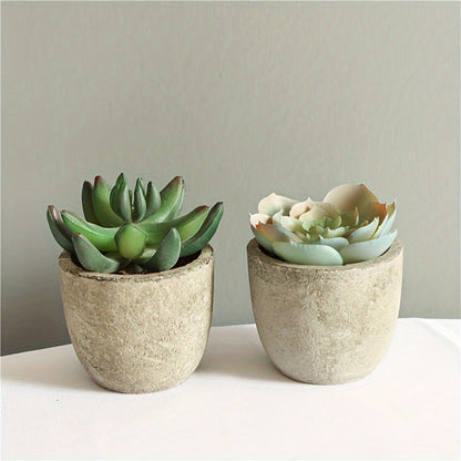 5 cross-border hot selling simulation succulent potted plants in paper pulp pots, bonsai desktop small ornament set.