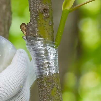 Durable fruit tree grafting tape, 215.0m roll - Stretchable self-adhesive film for plant protection.