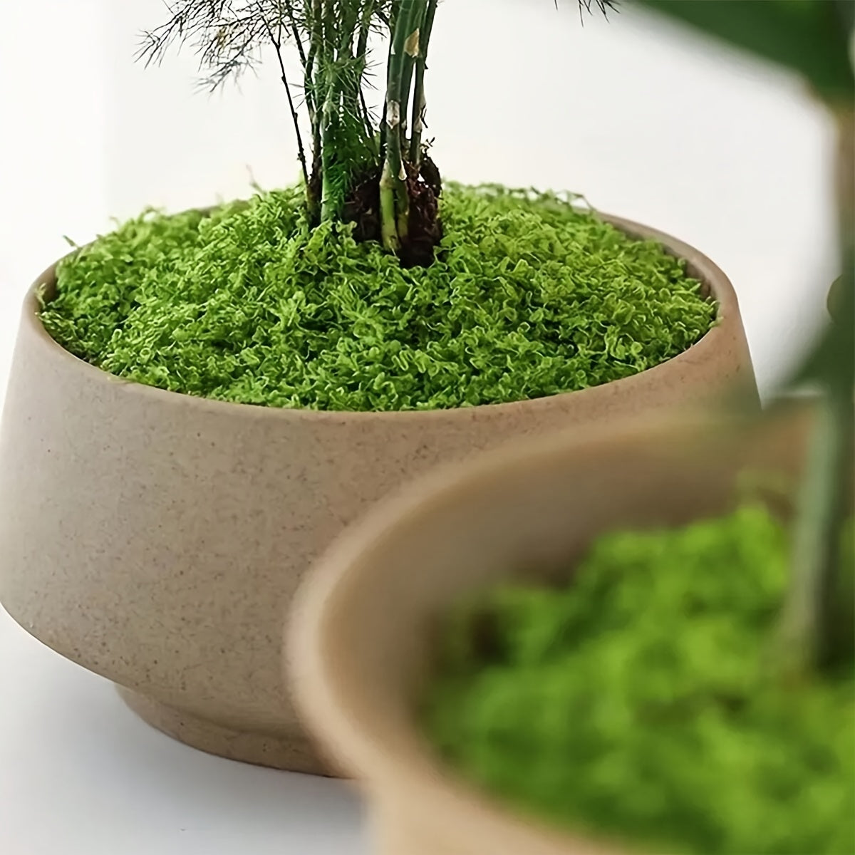 1pc 0.35oz Vibrant Green Artificial Moss for Home Decor and Indoor Greenery in Miniature Landscapes, Potted Plants, and Terrariums