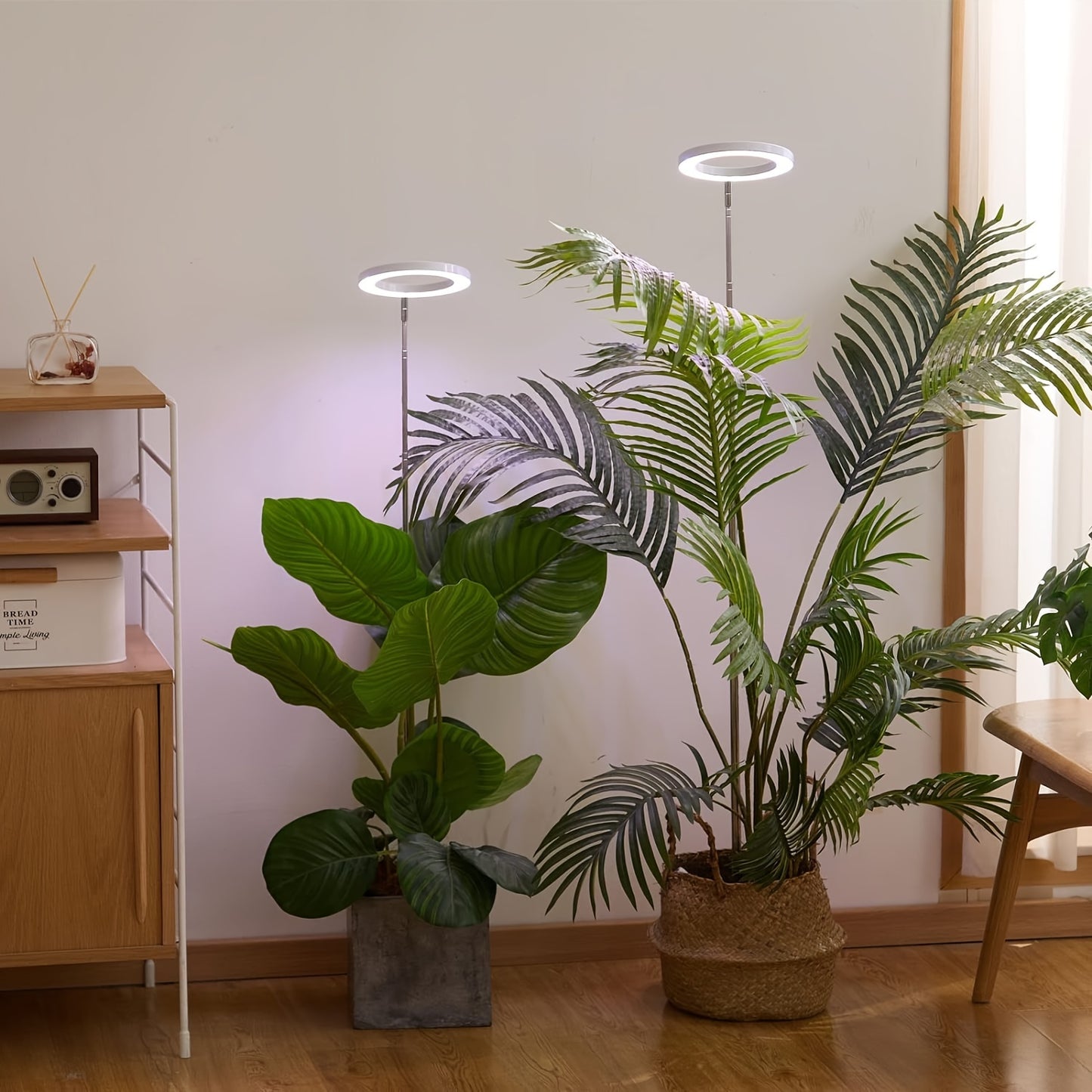 Adjustable USB-powered LED indoor plant growth lamp with automatic timer (3/9/12H settings) and adjustable height of 165.0 cm.