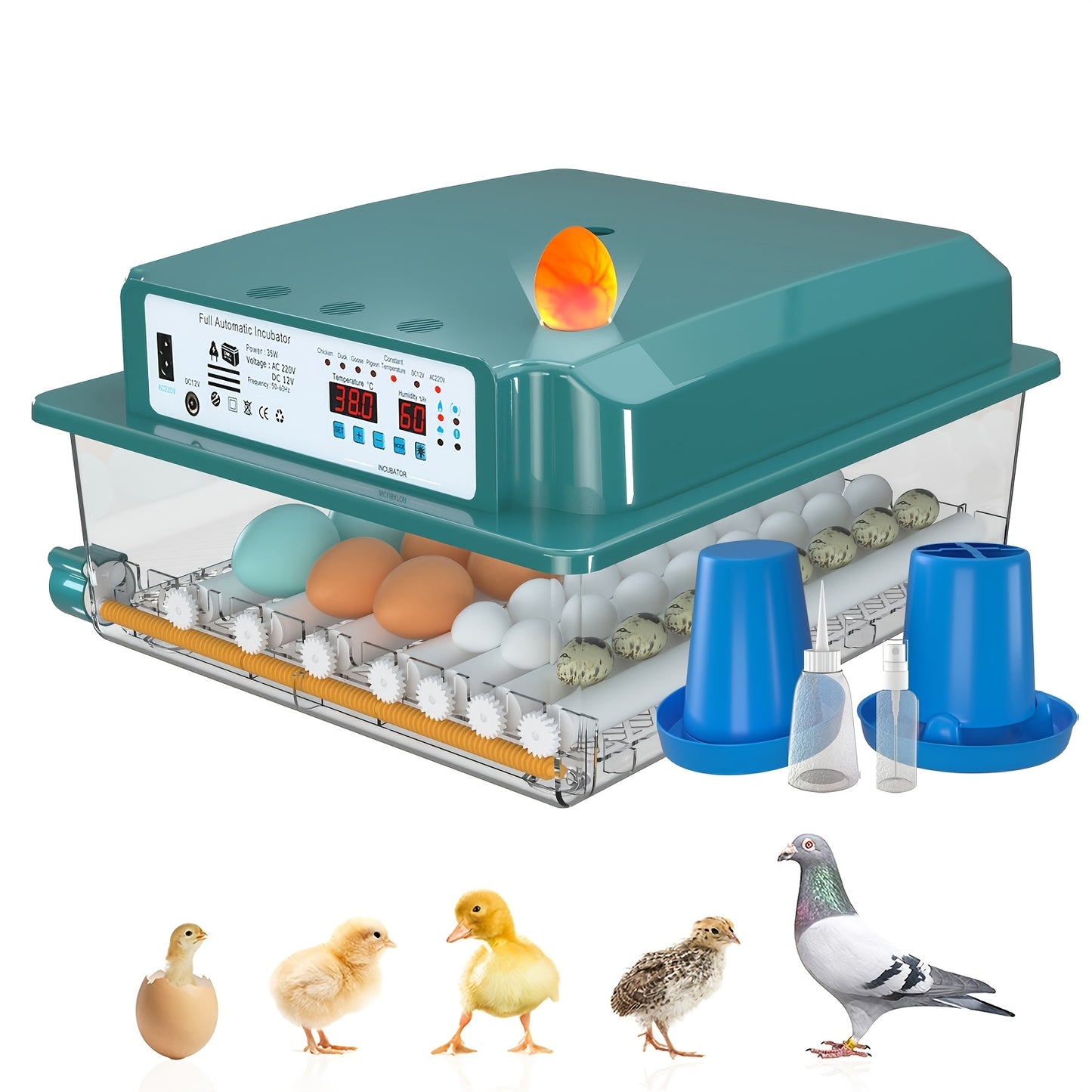 An intelligent automatic incubator can hatch 36 eggs simultaneously, with automatic water addition, temperature, and humidity control. It has one-button setting for incubation modes, smart