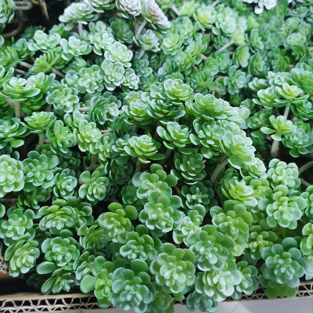 1 piece of 24-head artificial succulent plant ideal for DIY flower arrangements and home decor. Perfect for adding realistic greenery to weddings and engagements.