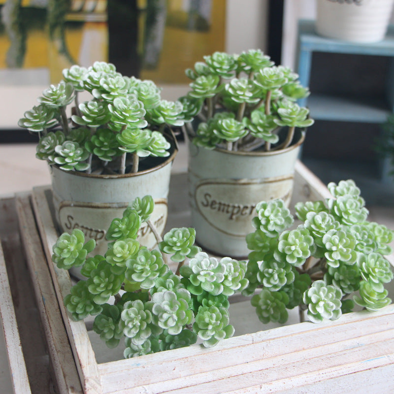 1 piece of 24-head artificial succulent plant ideal for DIY flower arrangements and home decor. Perfect for adding realistic greenery to weddings and engagements.