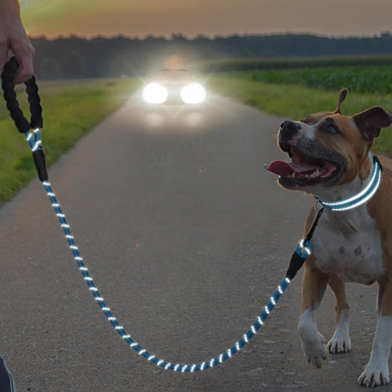 Reflective leash and adjustable nylon collar set for dogs of all sizes from JOYTALE.