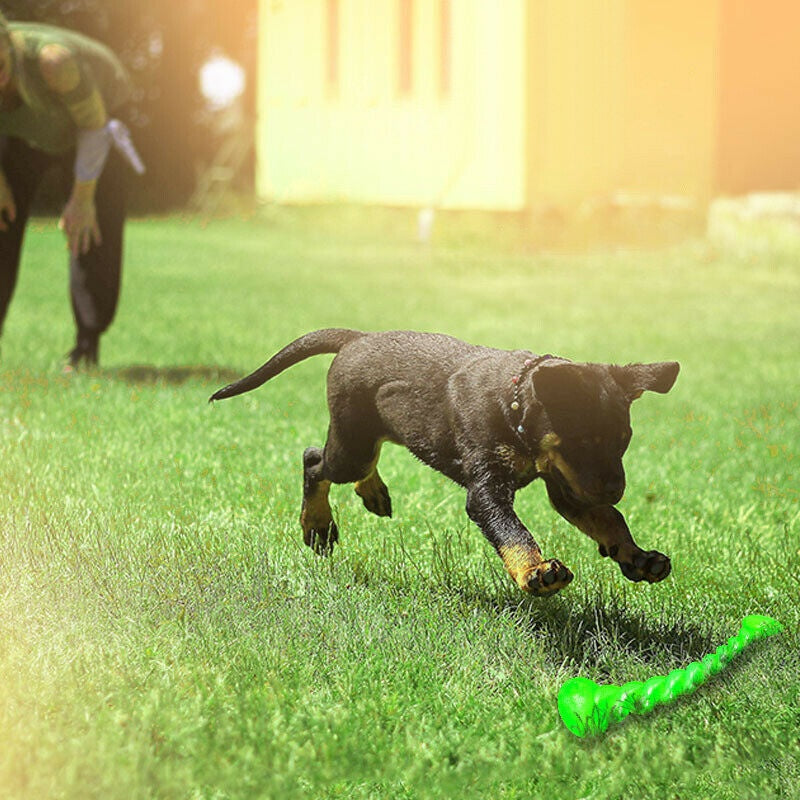 Rubber chew toy for medium to large dogs, ideal for aggressive chewers.