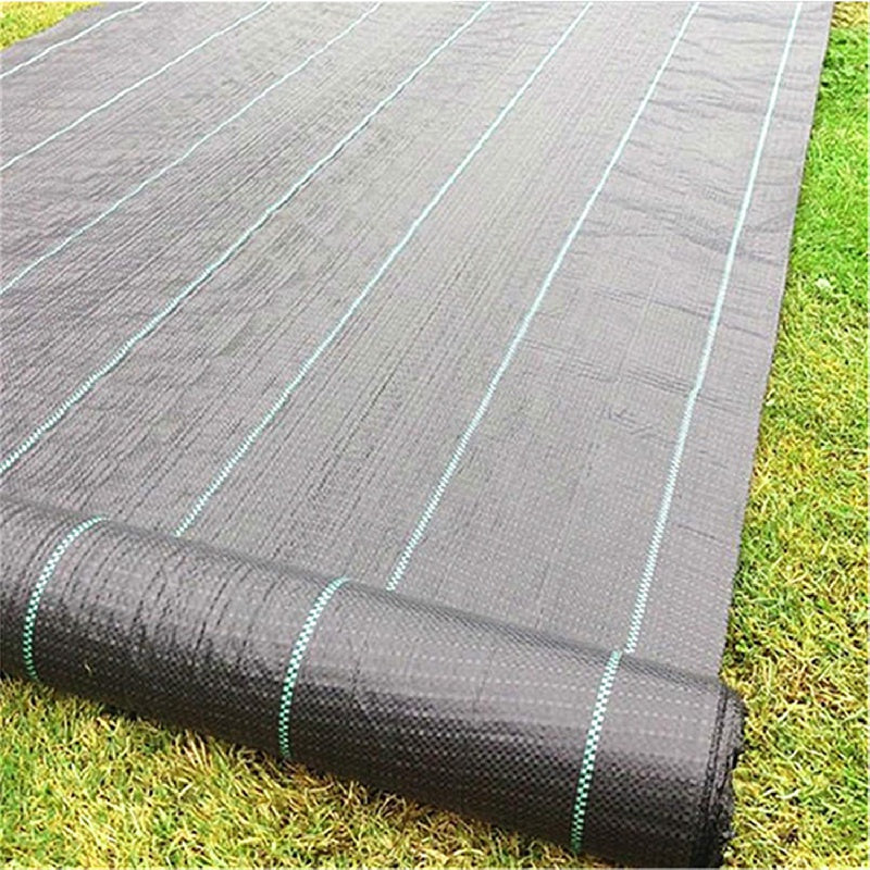 Durable 2m Wide Black PP Weed Barrier Fabric for Garden and Lawn Care