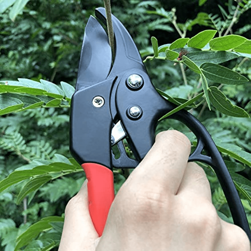 One professional ratchet anvil pruning shears with reinforced handle and anvil groove design for garden pruning.