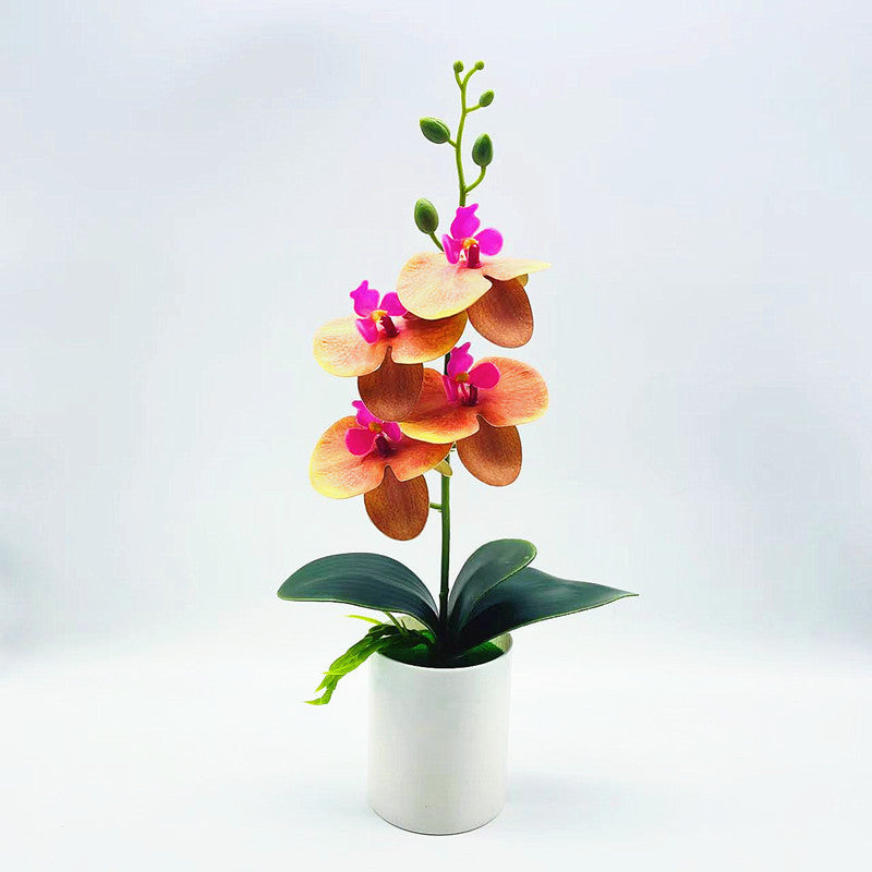 Real touch artificial Phalaenopsis orchids in vase - ideal for home or office decor, weddings, and bonsai plants.