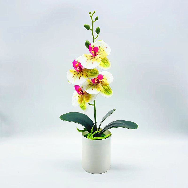 Real touch artificial Phalaenopsis orchids in vase - ideal for home or office decor, weddings, and bonsai plants.