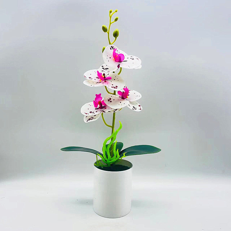 Real touch artificial Phalaenopsis orchids in vase - ideal for home or office decor, weddings, and bonsai plants.