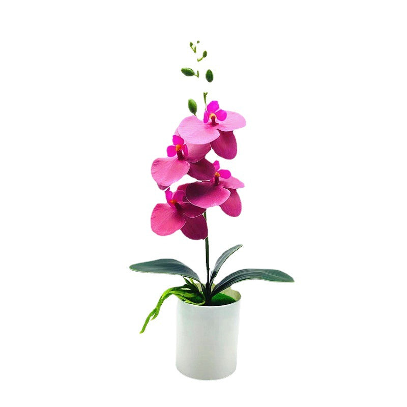 Real touch artificial Phalaenopsis orchids in vase - ideal for home or office decor, weddings, and bonsai plants.