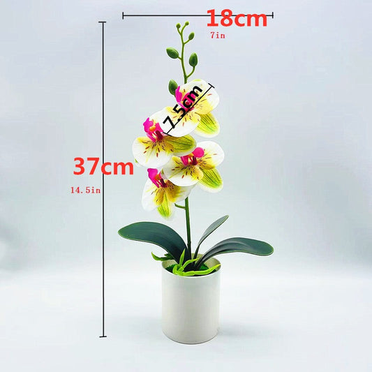 Real touch artificial Phalaenopsis orchids in vase - ideal for home or office decor, weddings, and bonsai plants.