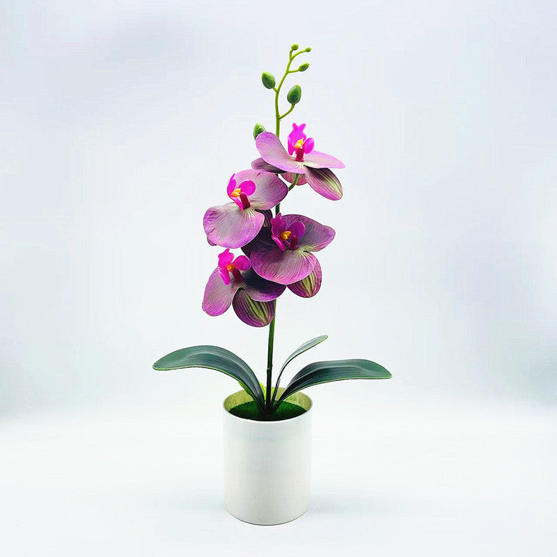 Real touch artificial Phalaenopsis orchids in vase - ideal for home or office decor, weddings, and bonsai plants.