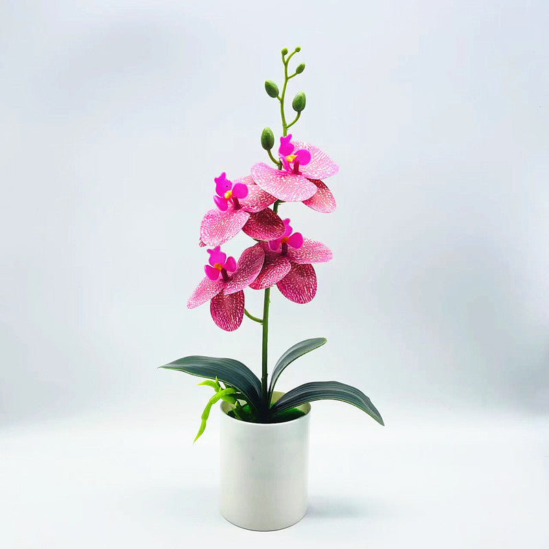 Real touch artificial Phalaenopsis orchids in vase - ideal for home or office decor, weddings, and bonsai plants.