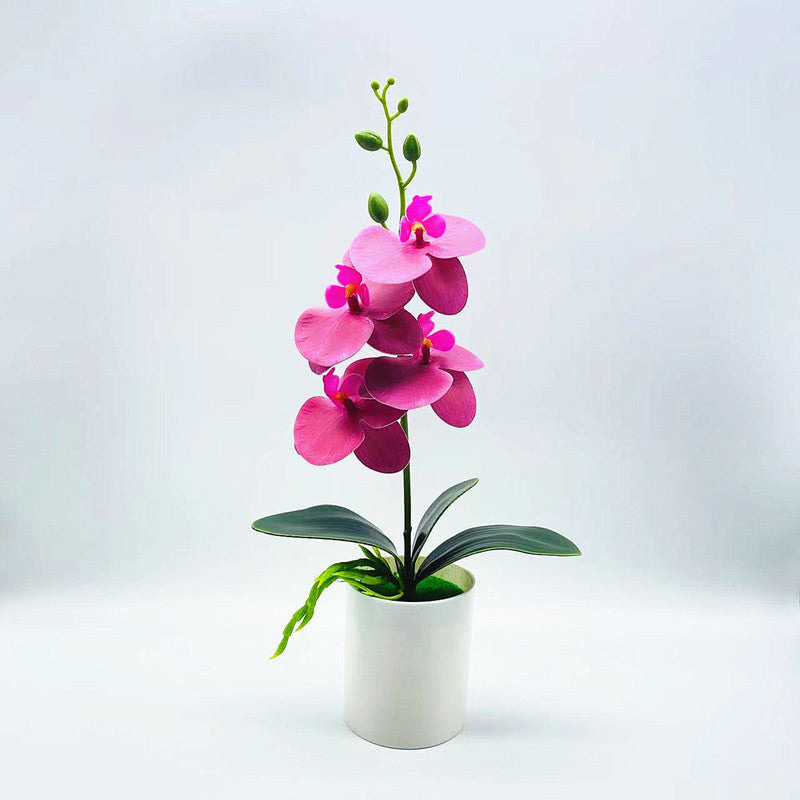 Real touch artificial Phalaenopsis orchids in vase - ideal for home or office decor, weddings, and bonsai plants.