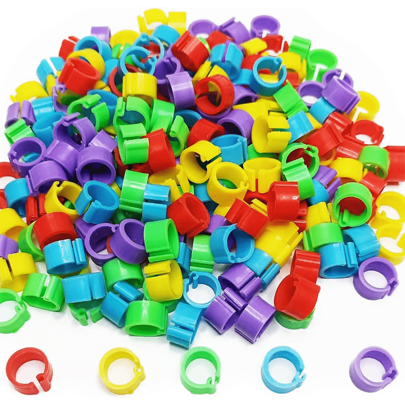 100 colorful 8mm leg bands for pigeons, parrots, finches, and canaries.