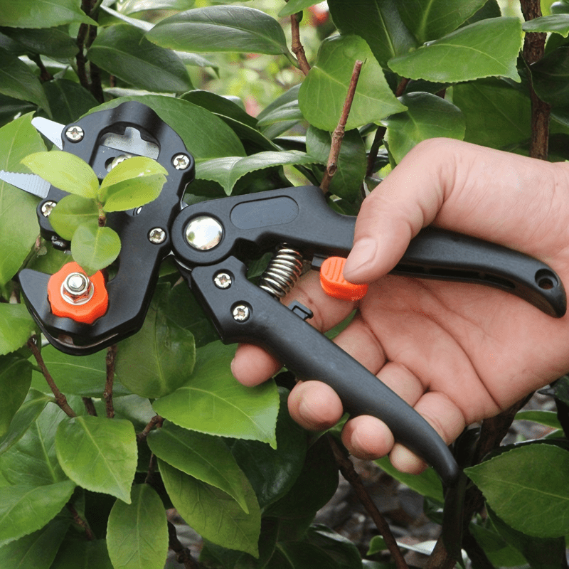 1 Set, Ergonomic 2-in-1 Garden Grafting & Pruning Tool Kit for Fruit Trees - Includes Stainless Steel Blade, Saw, Scissors, Cutting Board.