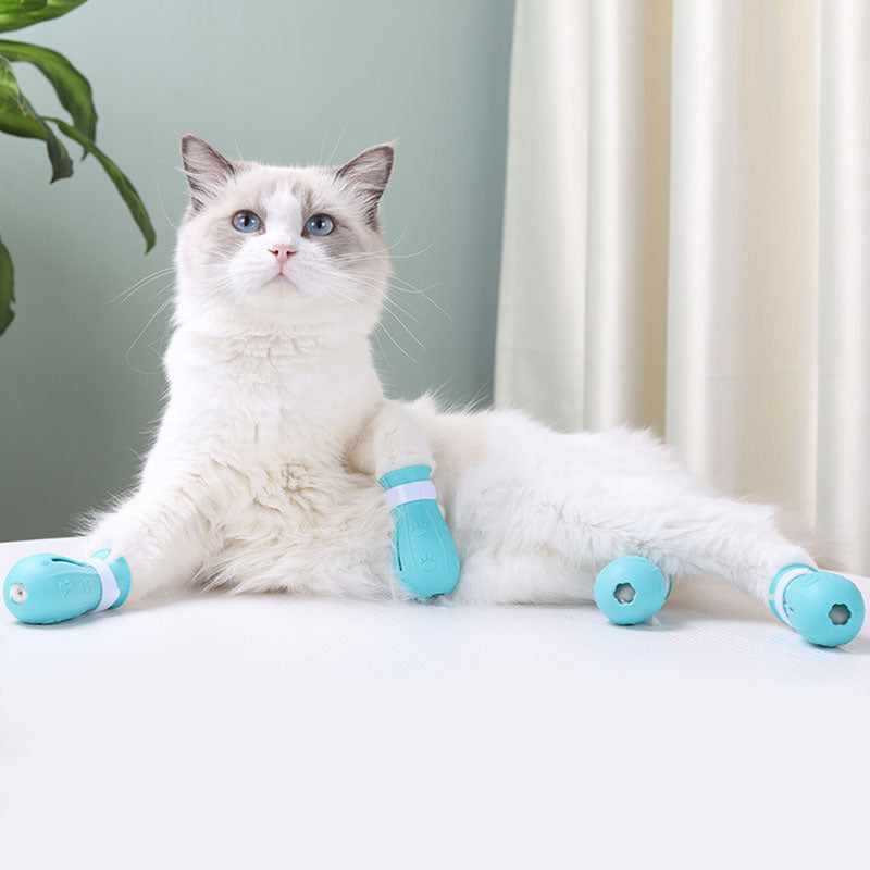 4 Anti-Scratch Cat Shoes Protect Cat's Paws during Grooming